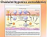 Fytochemické látky s antioxidační aktivitou v prevenci aterosklerosy
