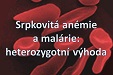 Srpkovitá anémie a malárie