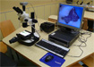 Stereoskopický mikroskop